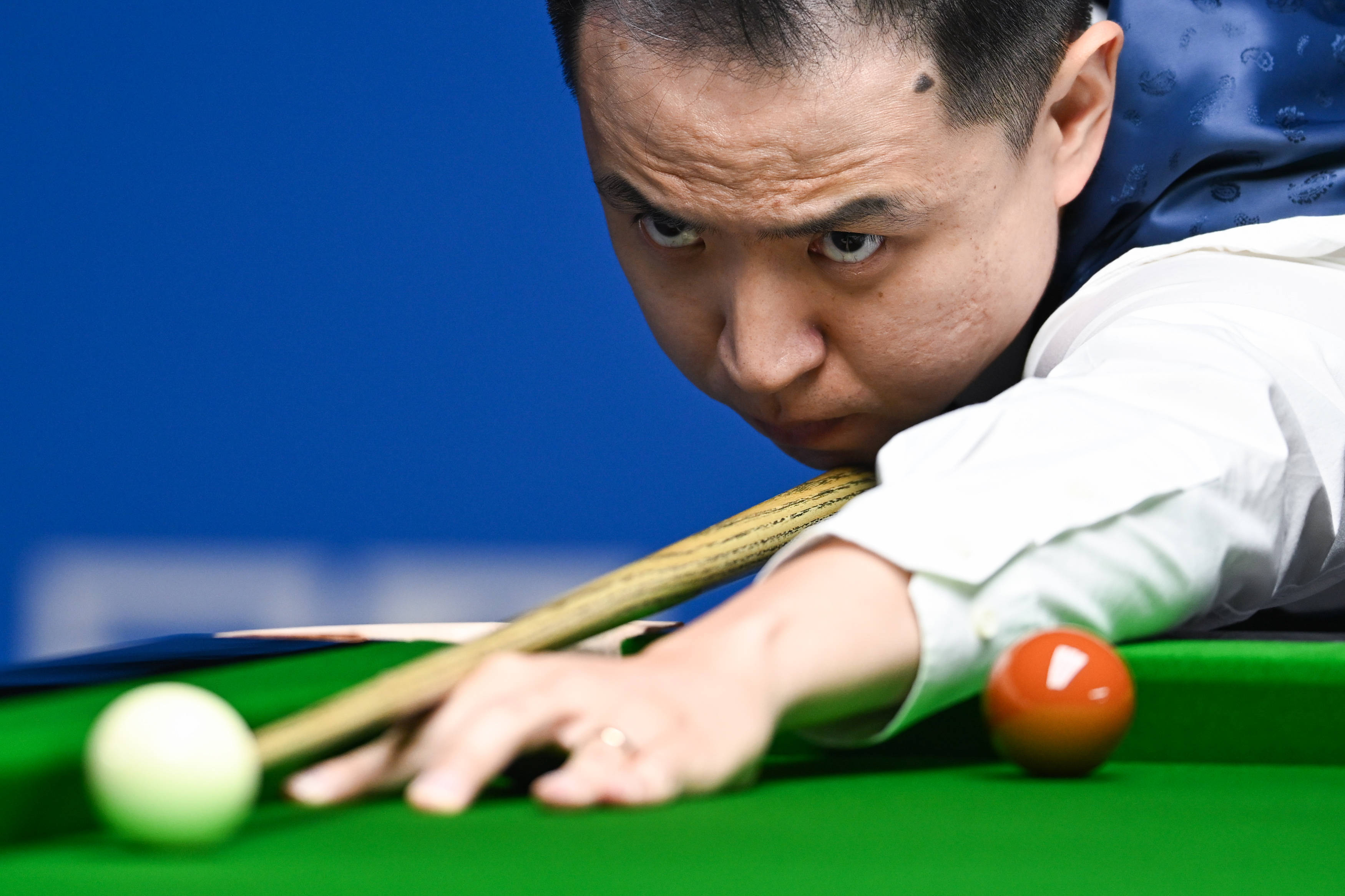 供了一个极 供了一个极